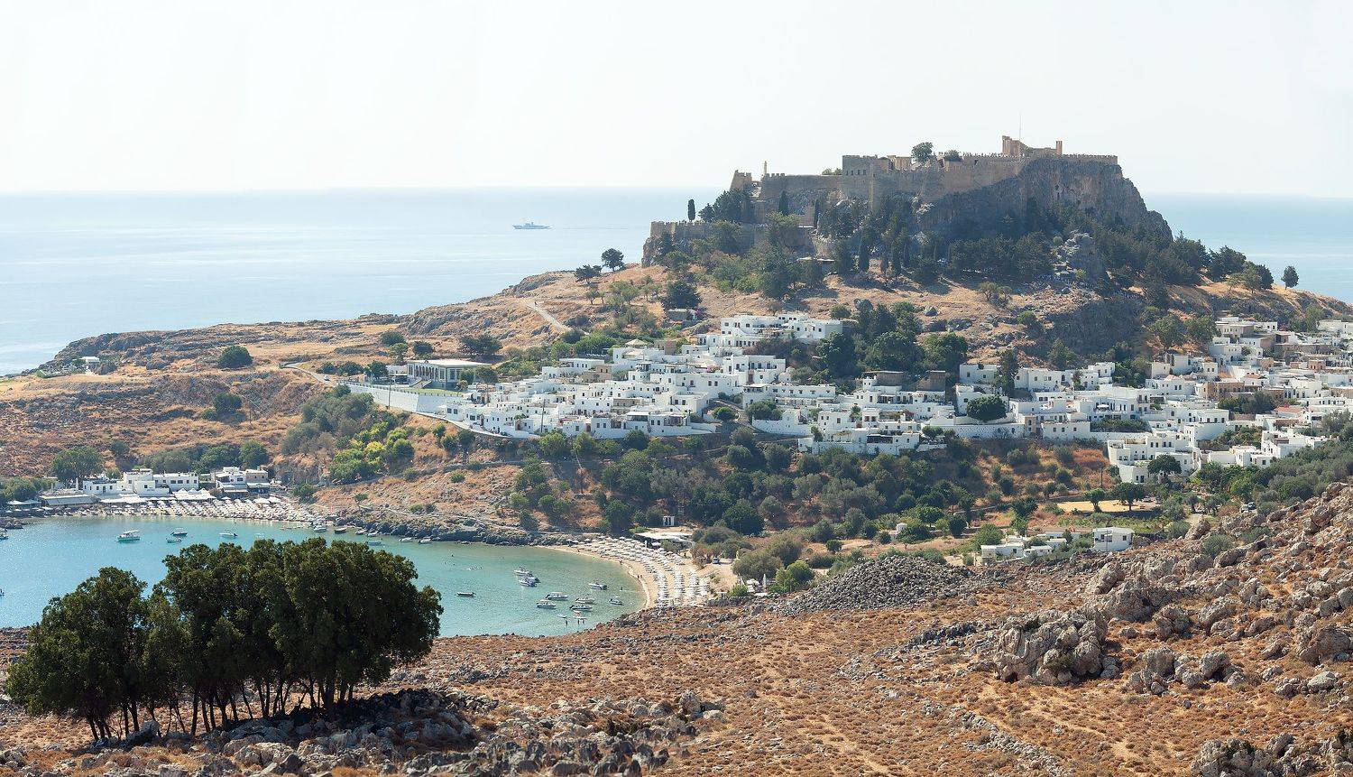 , Мария Шмидт