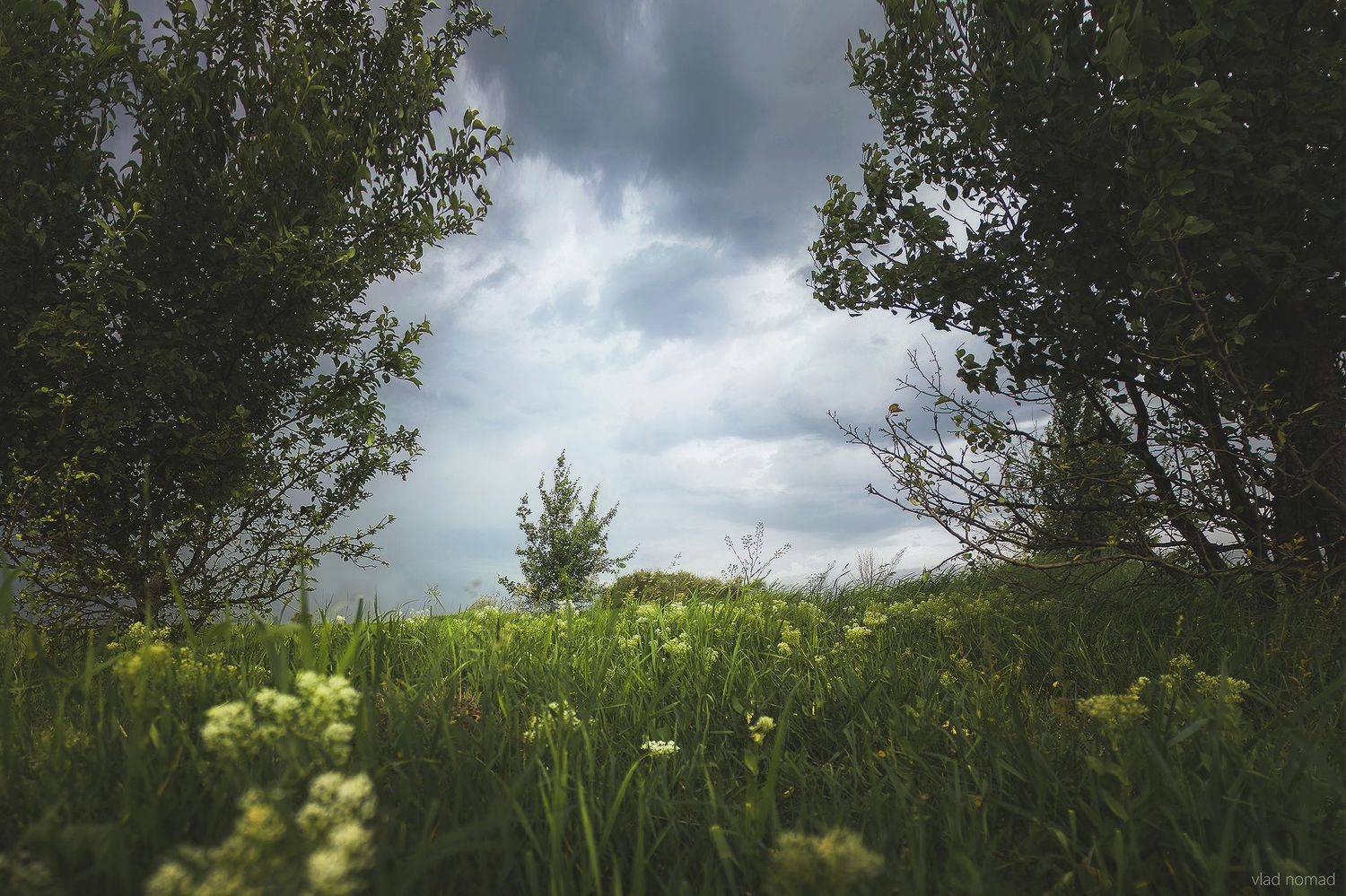 , Влад Епифанов