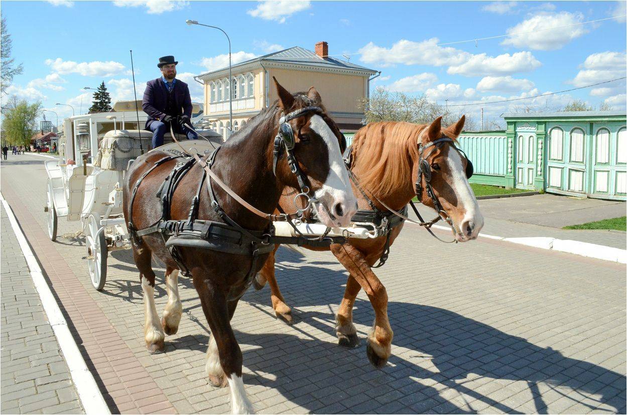 коломна, КарОл