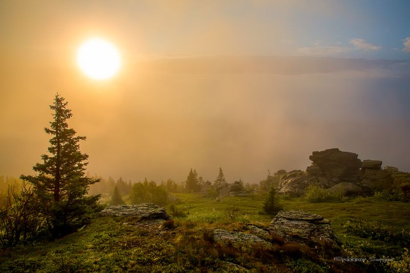 фото превью