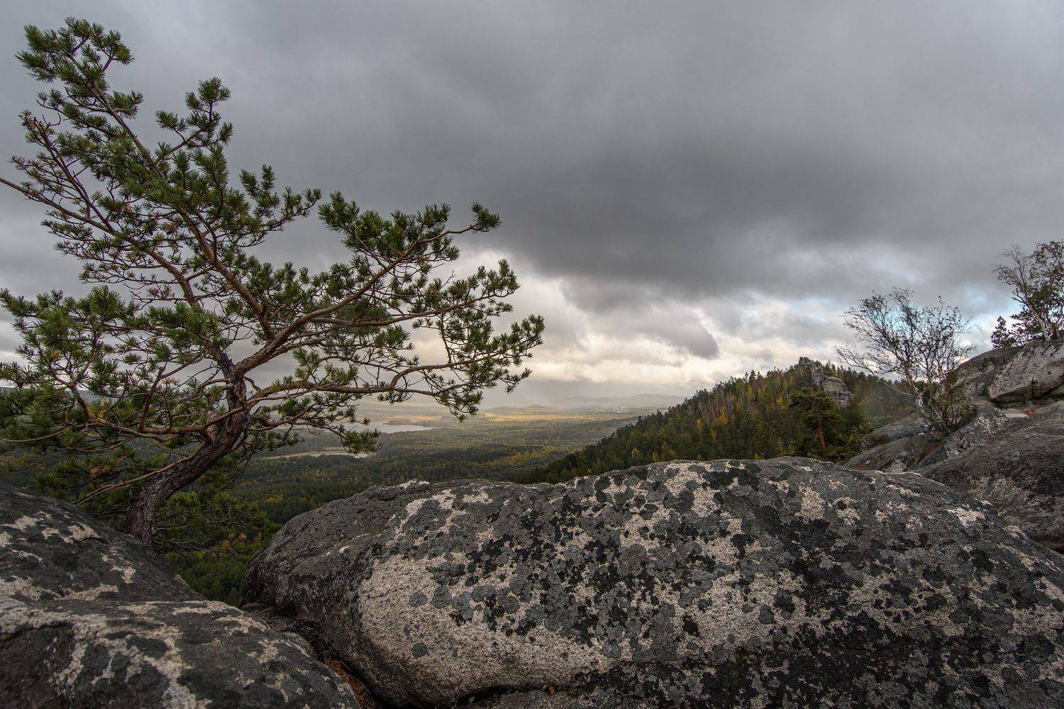горы, лес, природа, Денис Храмеев