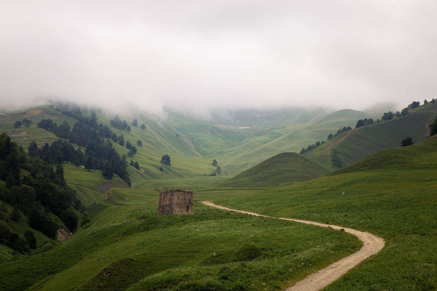 , Александр Писарев