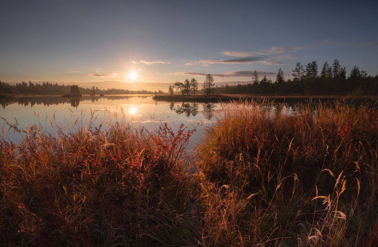 , Виталий Истомин