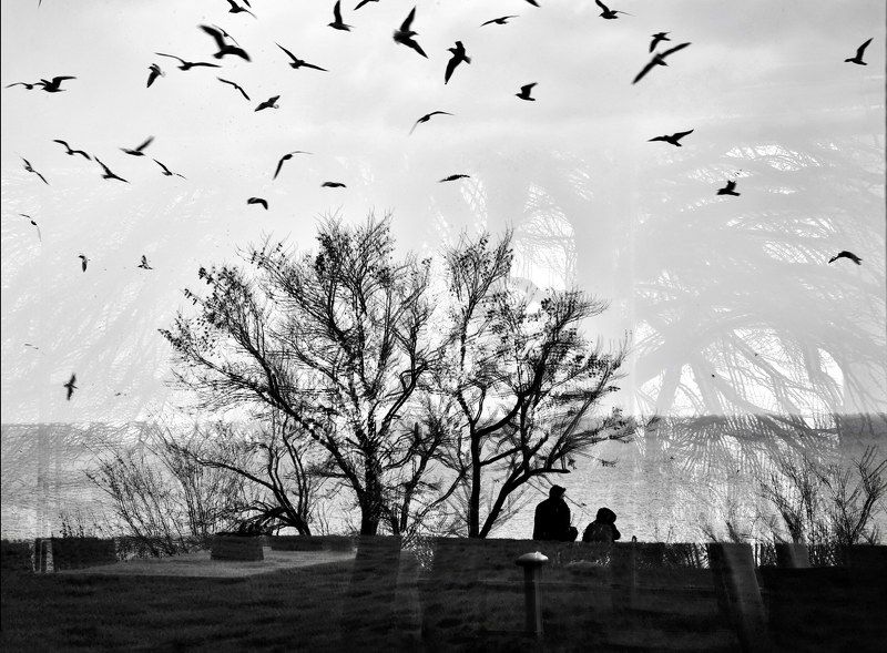 Romantic фото превью