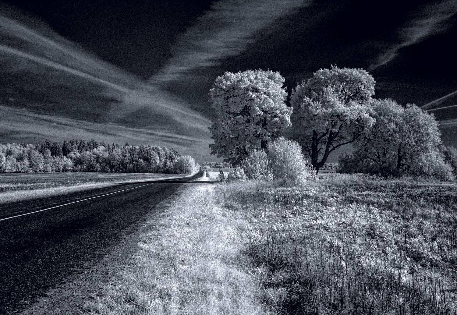 infrared,ик-фото,инфракрасное фото, инфракрасная фотография, пейзаж, осень, Sixten ( Сергей )