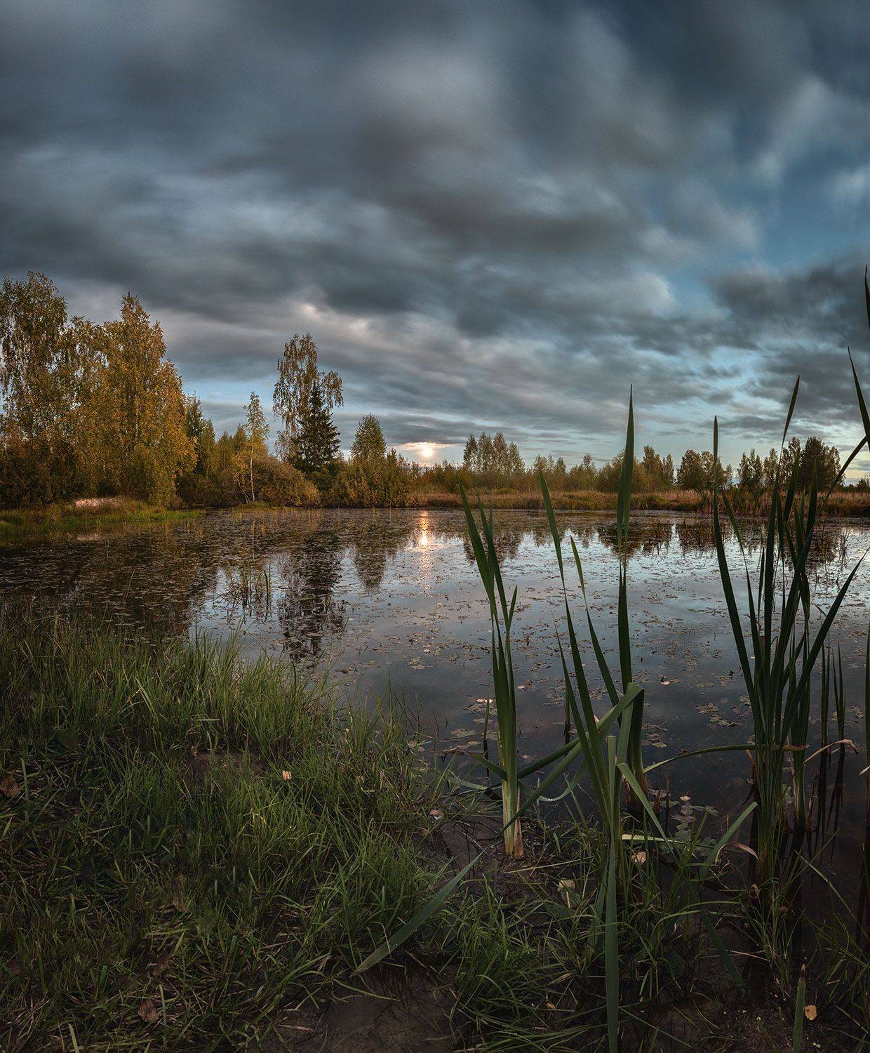 , Николай Андреев