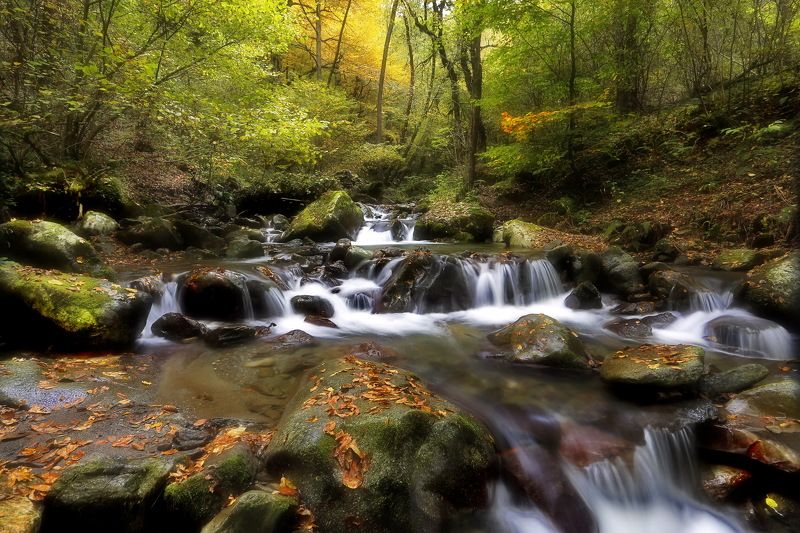 осень горы река. По осенней реке. фото превью