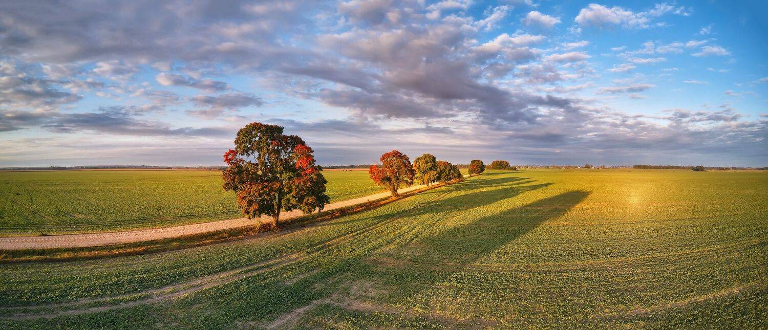 беларусь, дорога, облака, осень, рассвет, сентябрь, утро, Вейзе Максим