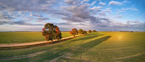 Ранняя осень