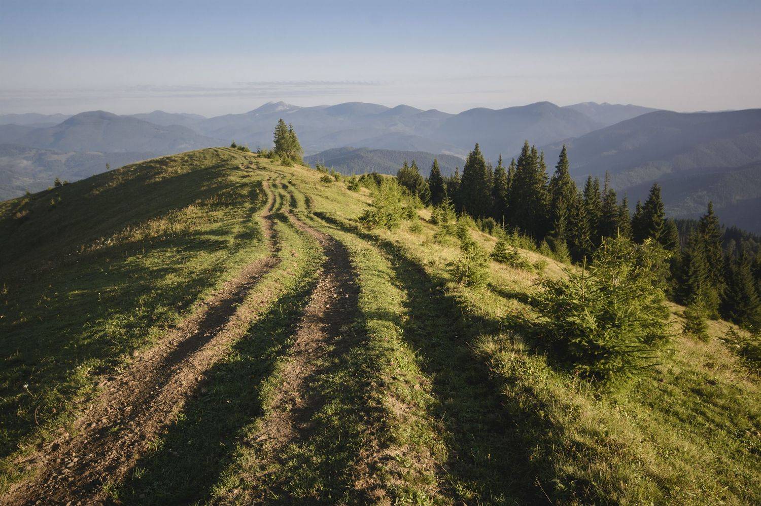 Украина, пейзаж, рассвет, утро, Карпаты, природа, Piligrim