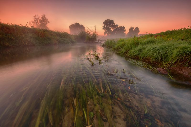 Wierzyca фото превью