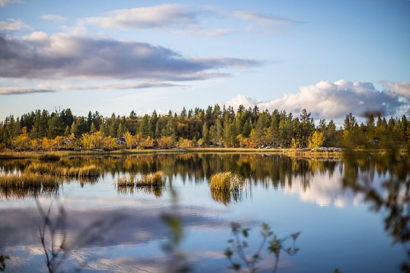 осень, север, солнце, река Северная осень фото превью