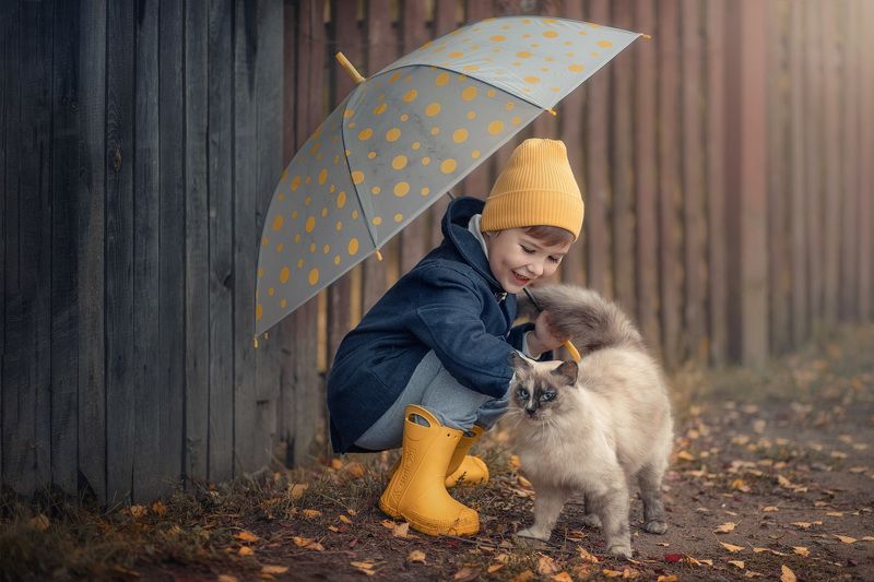 Случайная встреча фото превью