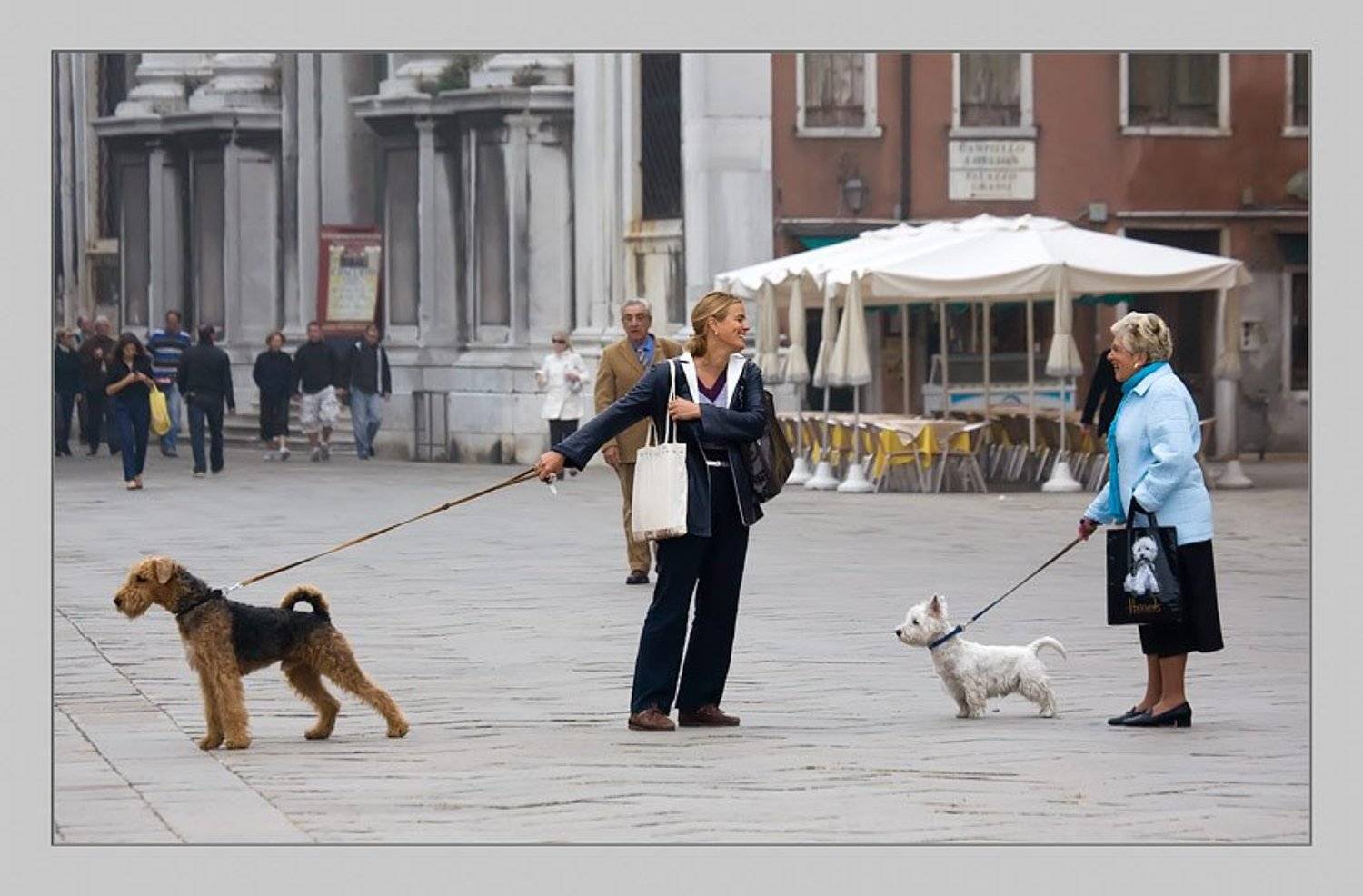 венеция, Сергей Милицкий