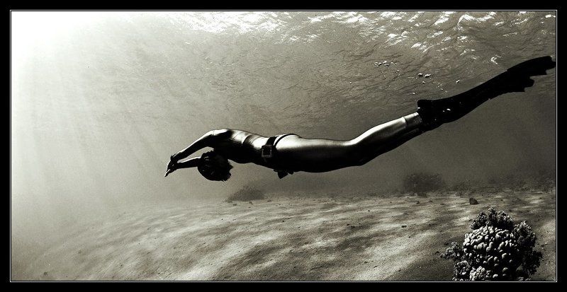 сквозь время фото превью