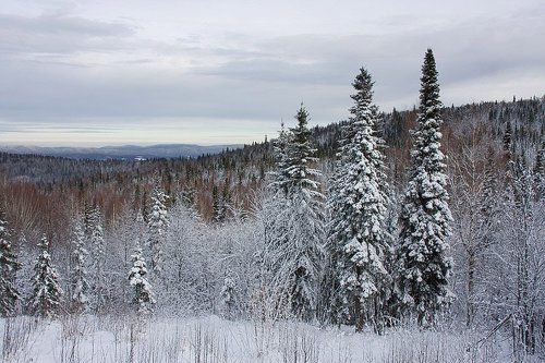 Она уже не за горами
