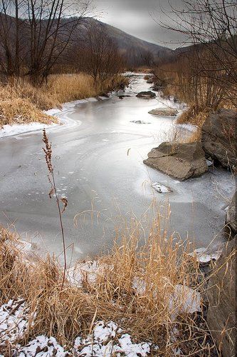 Осенний краски зимы