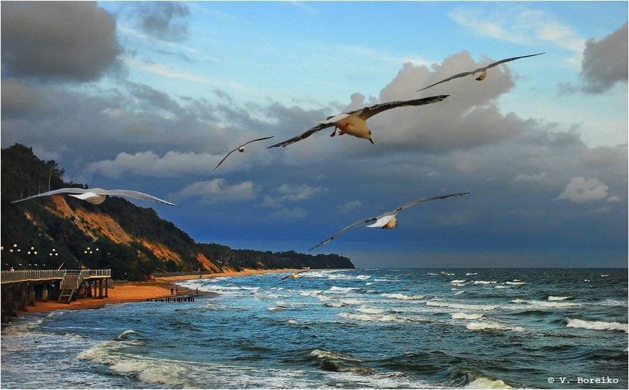 балтика, светлогорск, Вадько