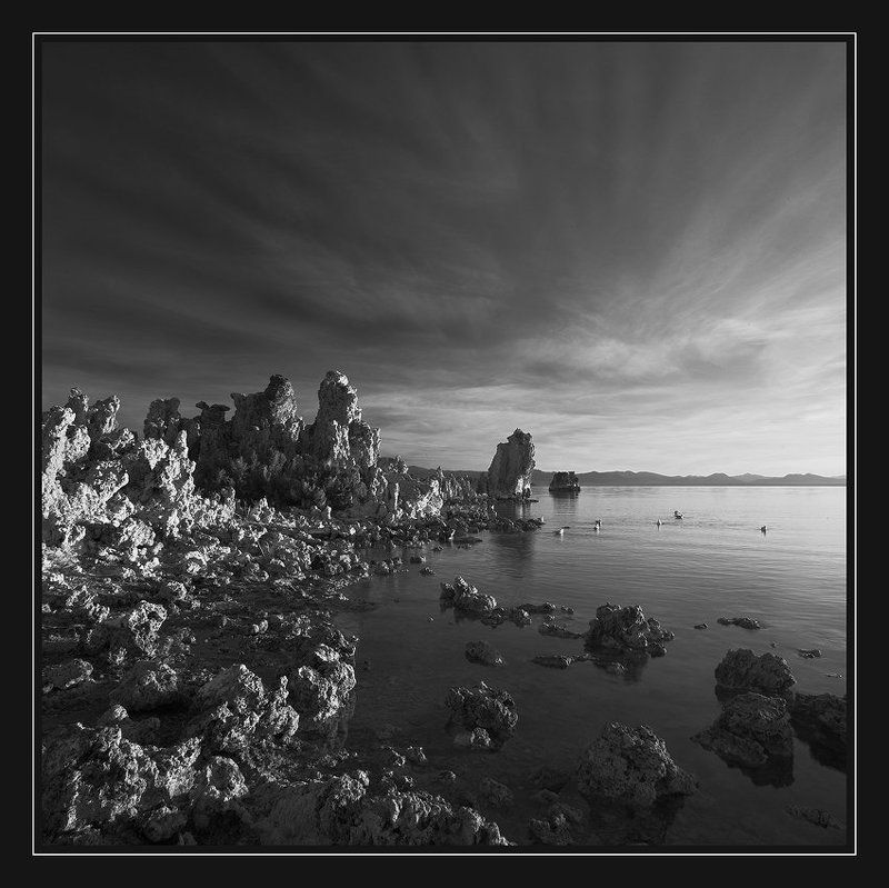 Pure Morning фото превью