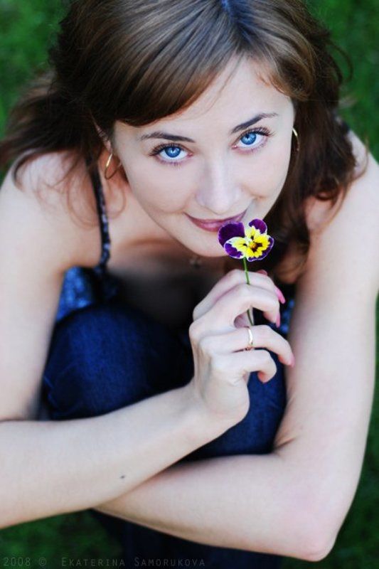 фиалка фото превью