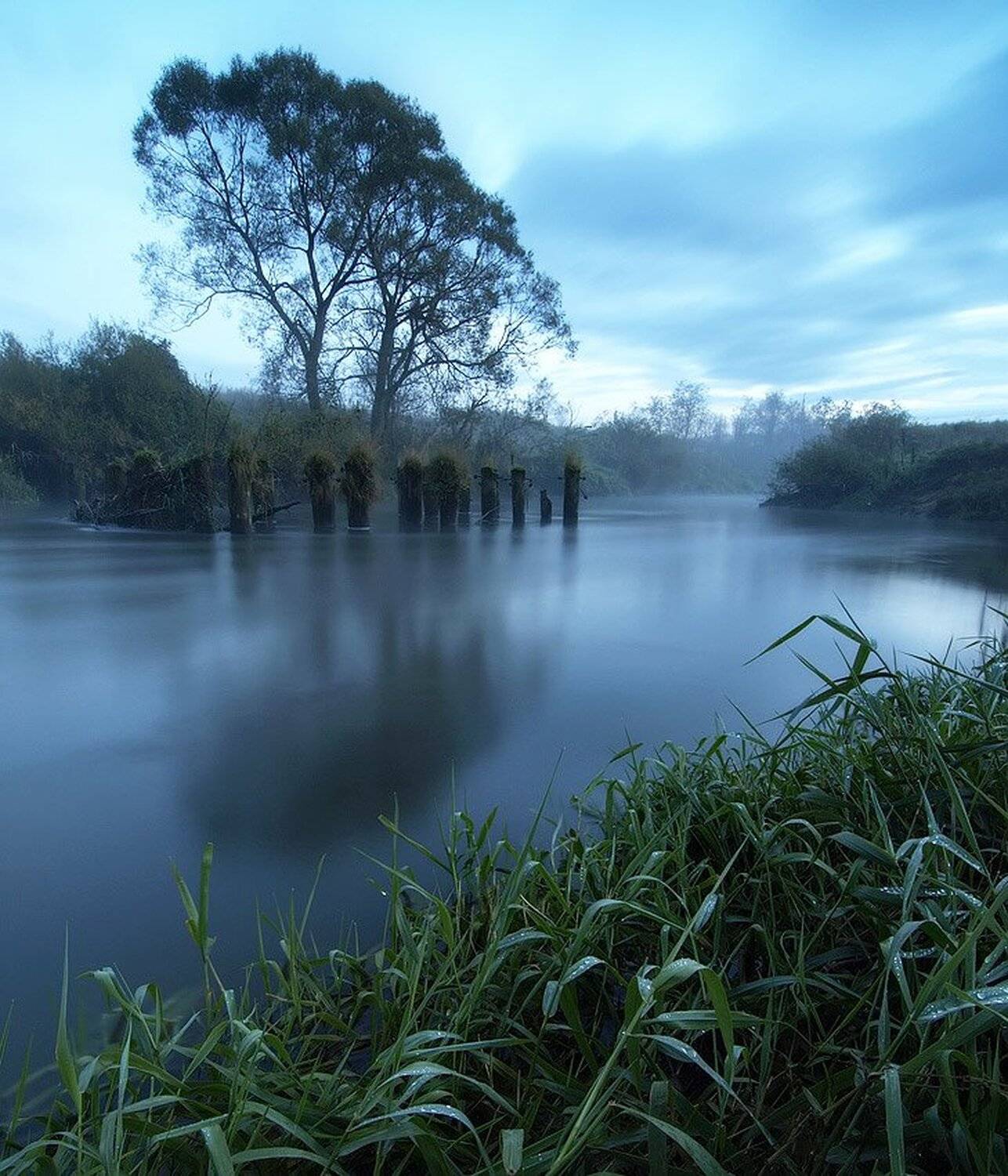 , Максим Евдокимов