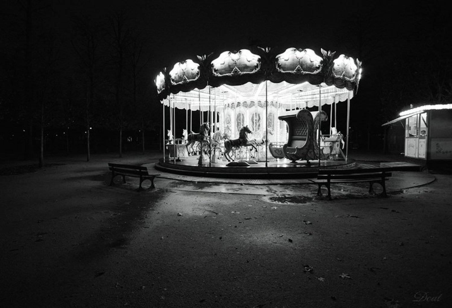 франция, париж, карусель, парк, детство, вечер, Darn Cat