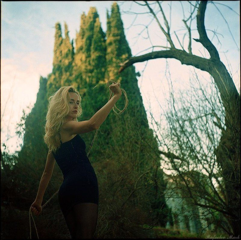 Одинокая птица фото превью