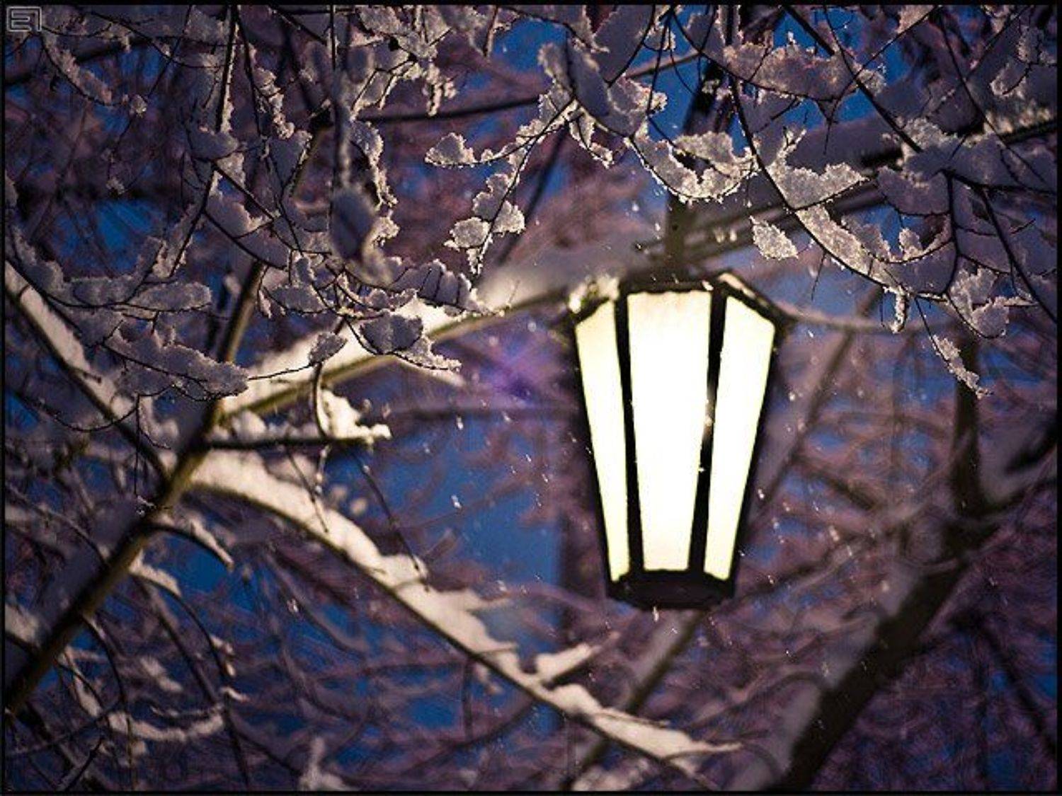 зима, снег, хлопья, фонарь, ночь, Евгений Павленко