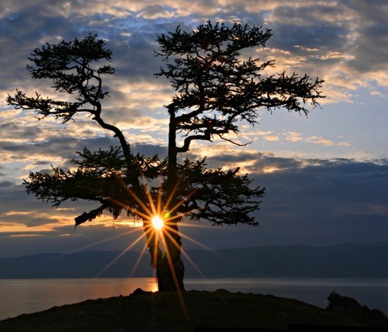 Харлей дэвидсон фото превью