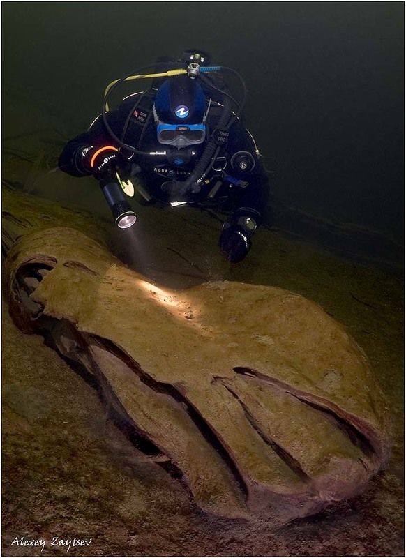 зайцев, обучение, подводной, фотографии, телецкое, озеро Чей туфля`?! фото превью
