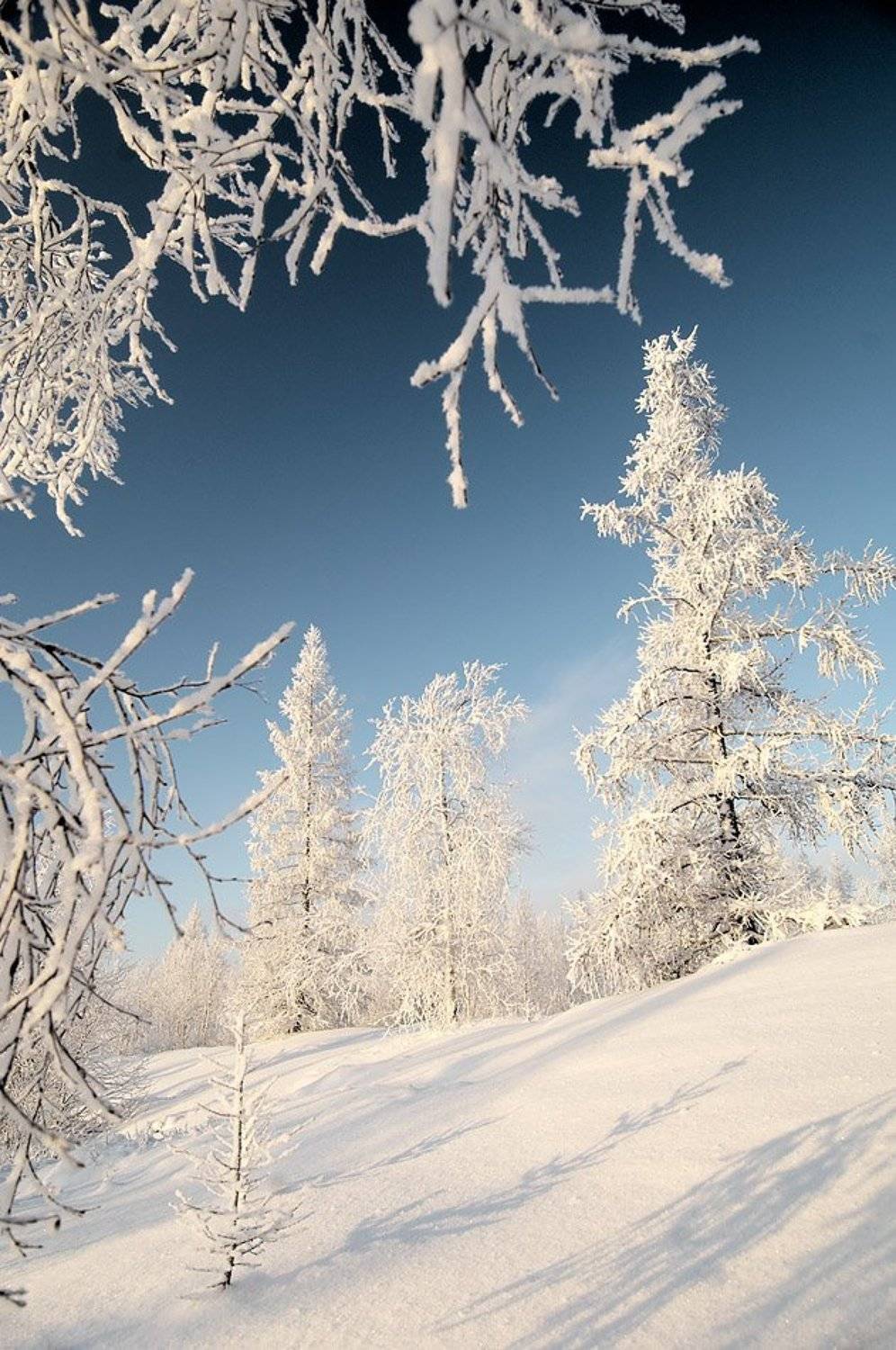 север, зима, hdr,, Danil Husainov