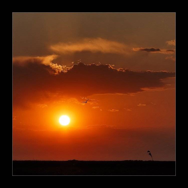 , Данил Ромодин