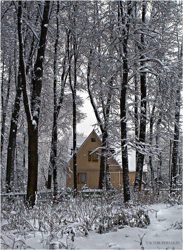 зима, домик, лес, снег, Виктор Перякин