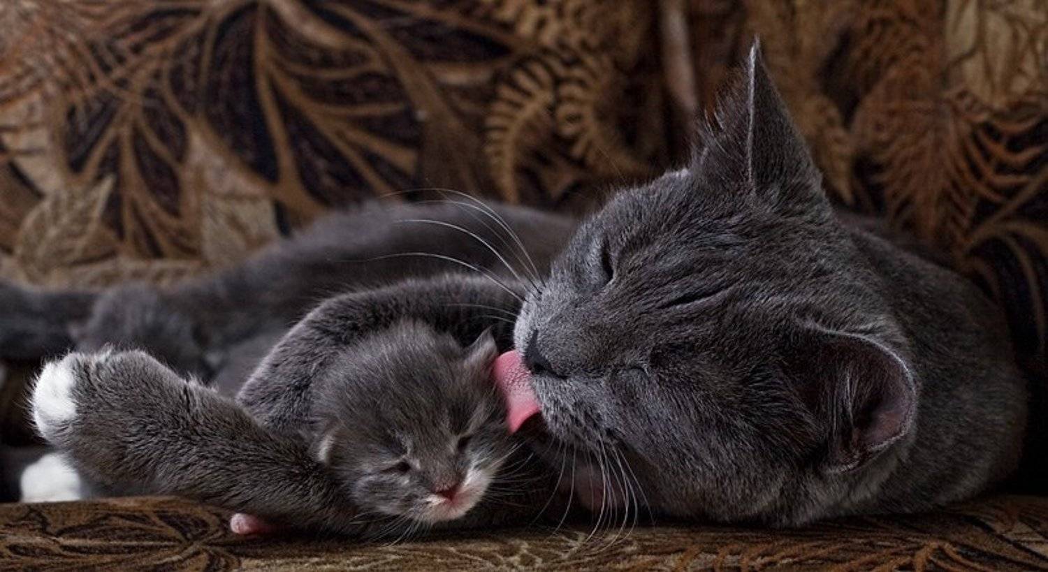 , Анна Круглова