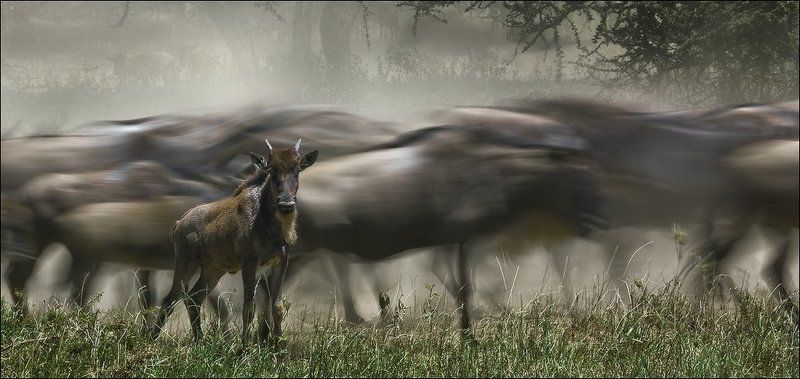 Между прошлым и будущим фото превью