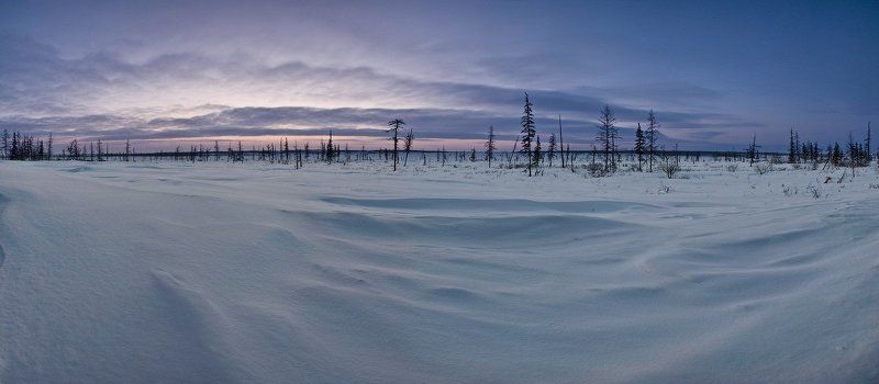 Заполярье. Полдень. фото превью