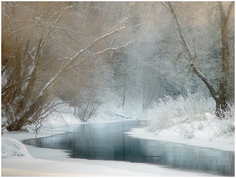 десна, снег, январь Январь фото превью