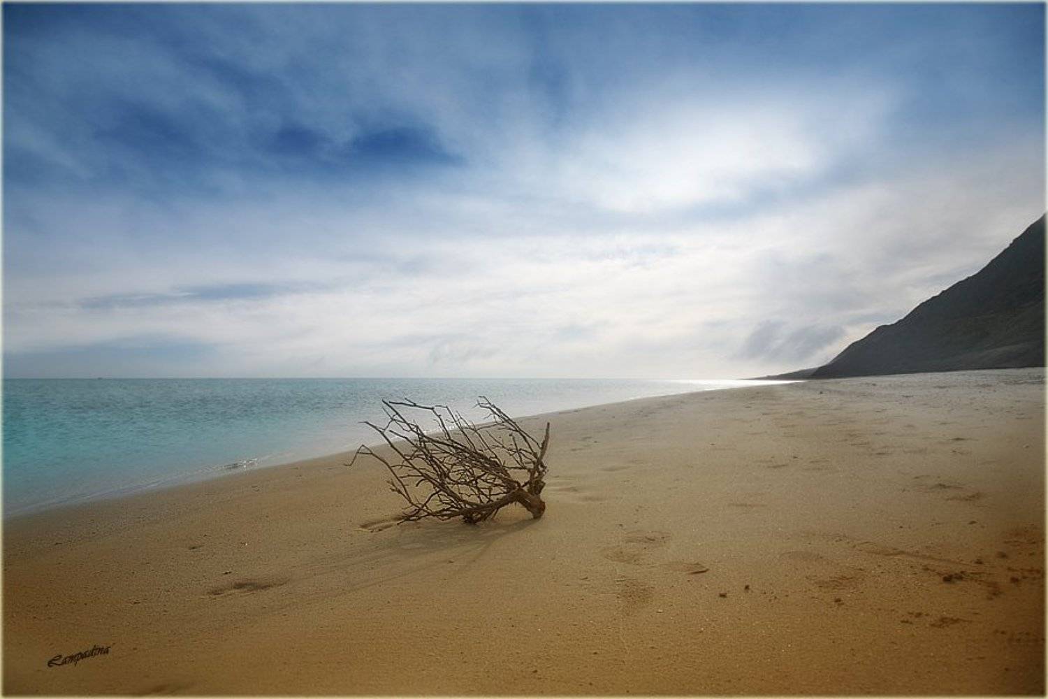 красное море, египет, остров забаргад, пляж, ветка, одиночество, lampadina