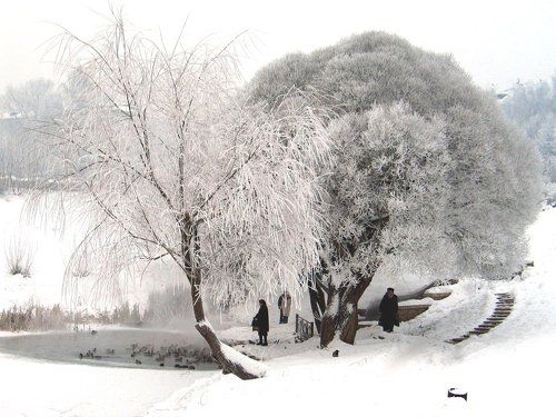 Зимняя зима