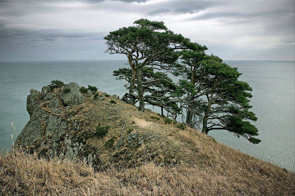 , Дмитрий Корнилов