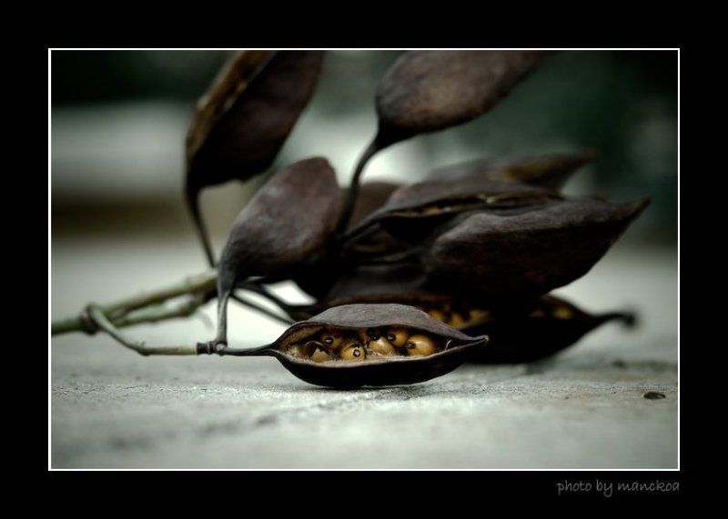 находка фото превью