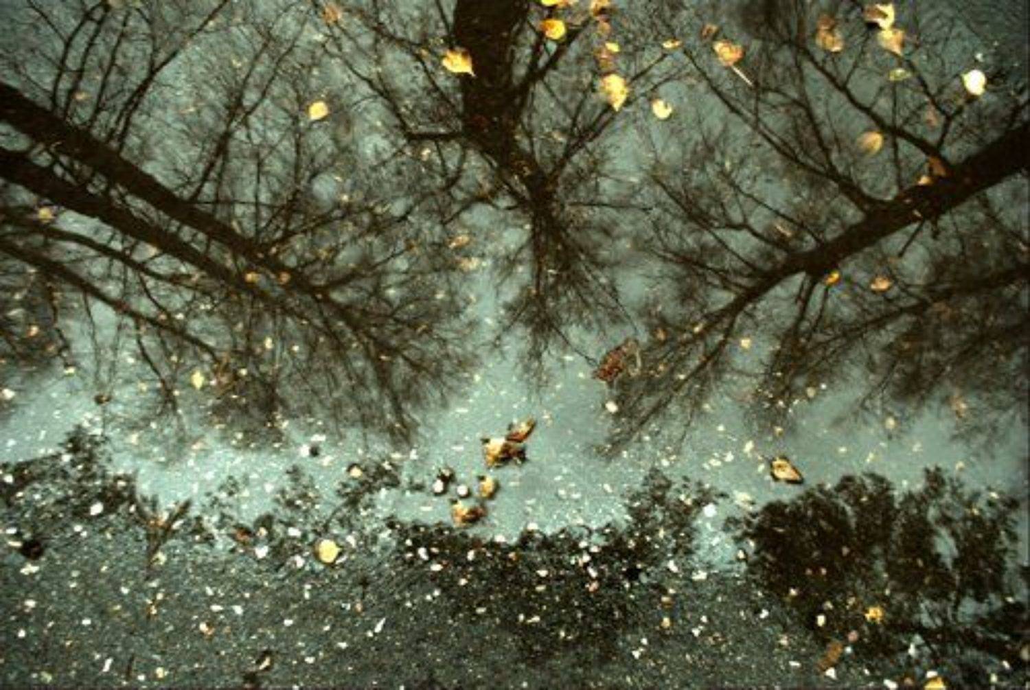 академгородок,осень,ноосибирск,отражение, Redryk