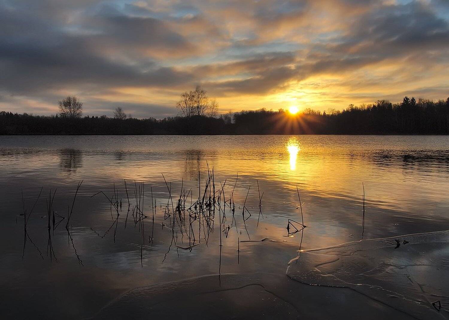 , Максим Евдокимов