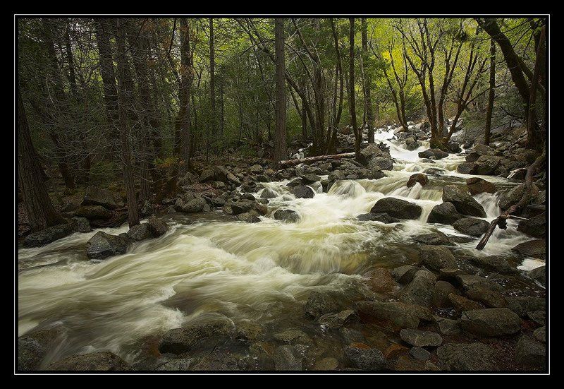 Bridalveil Creek, Yosemite фото превью