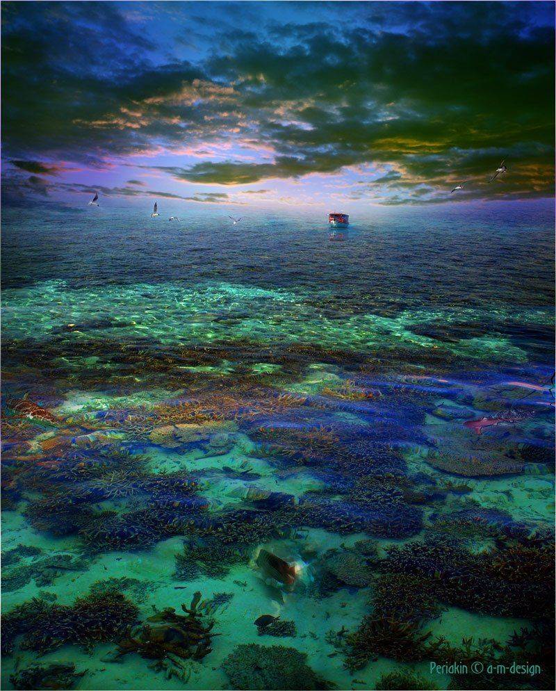 индийский, океан, мальдивы, кораблик, чайки, Виктор Перякин