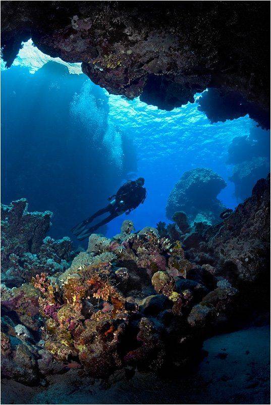 , Сергей Шанин