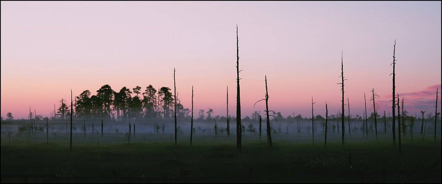 , Зайцев Владимир