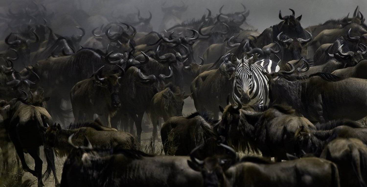 , Игорь Гущин