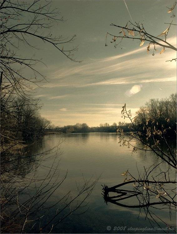 пленка, средний формат, 6х4.5, броника, pilgrim, medium format, bronica etr, Pilgrim