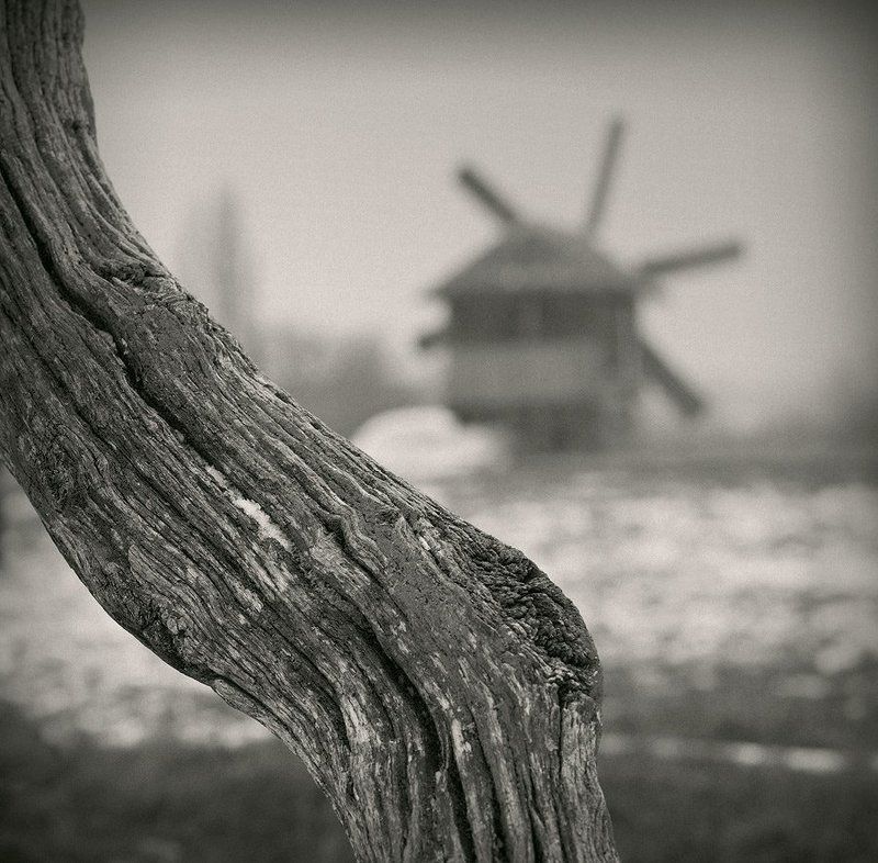 Зарисовки из Пирогово.... фото превью